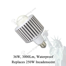 Globe LED Light Bulbs Liberty Torch-E27-36W-1