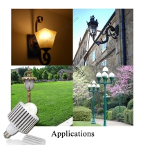 Globe LED Light Bulbs Liberty Torch-E27-36W-Application