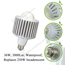 Globe LED Light Bulbs Liberty Torch-E27-36W-Detail