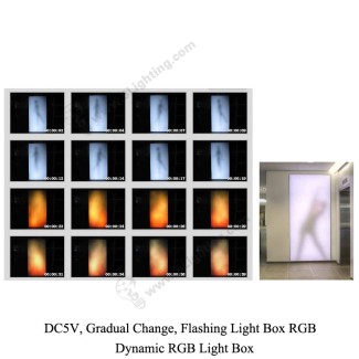 Dynamic RGB Light Box -1