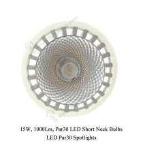 Par30 LED Short Neck 15W - 2