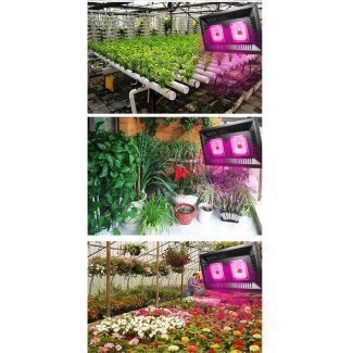 LED growing lamps 100 W