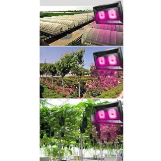 LED growing lights 100 Watts