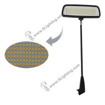 Display arm lights CCT adjustable