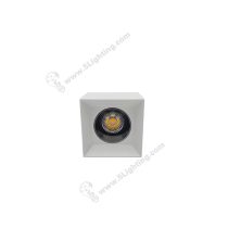 IP65 surface mounted downlight