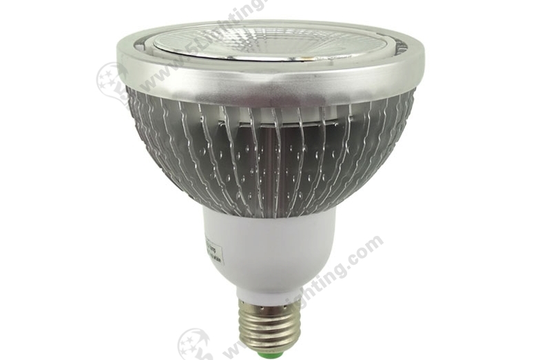 LED Par38 Spot 18W - 1