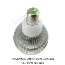 LED Par38 Spot 18W - 5