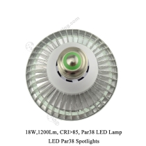 LED Par38 Spot 18W - 6