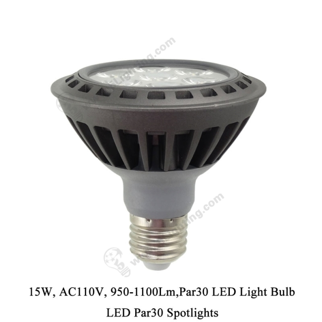 Par30 LED Light Bulb 15W - 1 Par30 LED Light Bulb 15W - 1