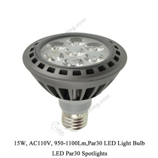 Par30 LED Light Bulb 15W - 5