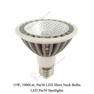 Par30 LED Short Neck 15W - 1