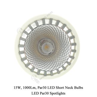 Par30 LED Short Neck 15W - 2