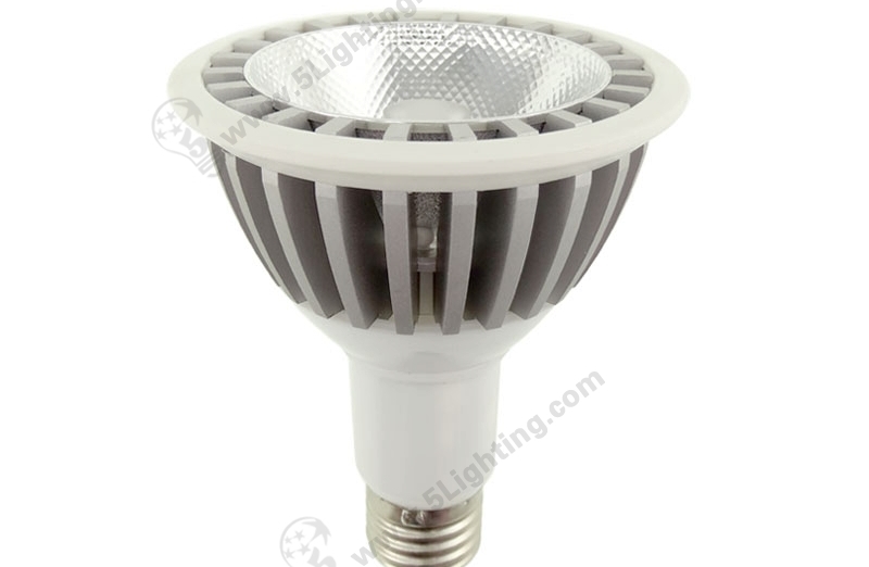 Par30 LED Long Neck 15W - 1