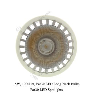 Par30 LED Long Neck 15W - 2