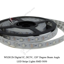 WS2812b LED Strip SMD 5050 - 2