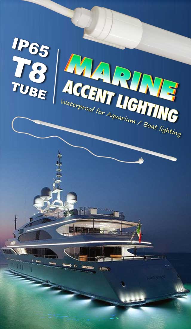IP65 waterproof LED T8 Tube Light IP65 waterproof LED T8 Tube Light