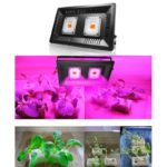 LED flood grow light 100W