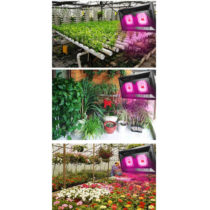 LED growing lamps 100 W