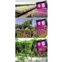 LED growing lights 100 Watts