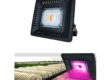 LED flood grow light 50W