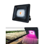 LED flood grow light 50W