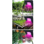 LED growing lamps 50W