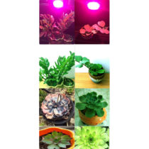 LED plant lights 50 Watts