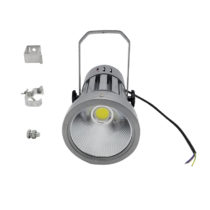 LED spot lighting 80 Watts