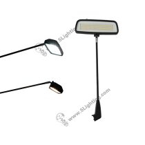 LED Maxima Display Light Manufacturer